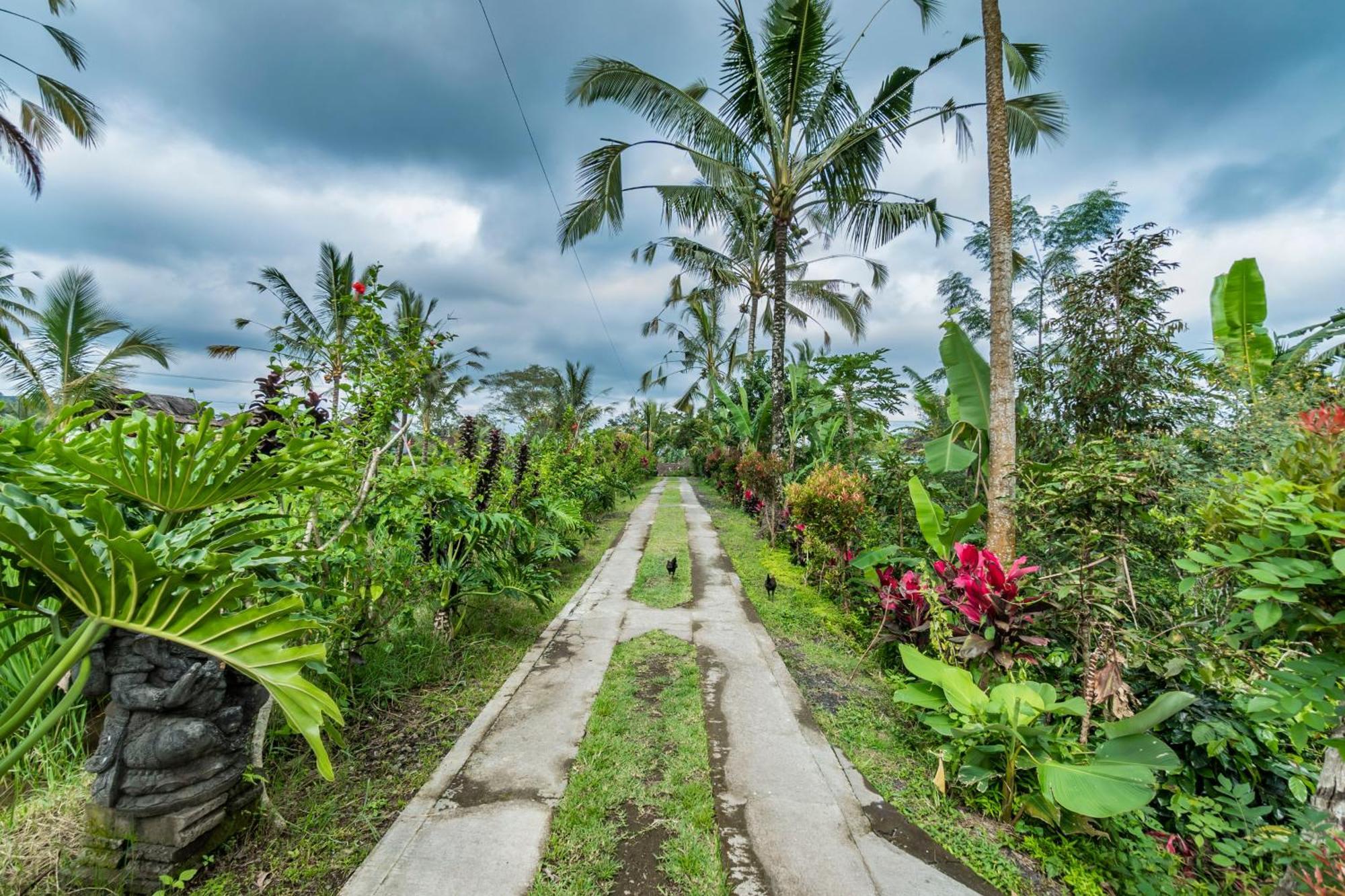 Ritual Ubud Payangan Exteriör bild